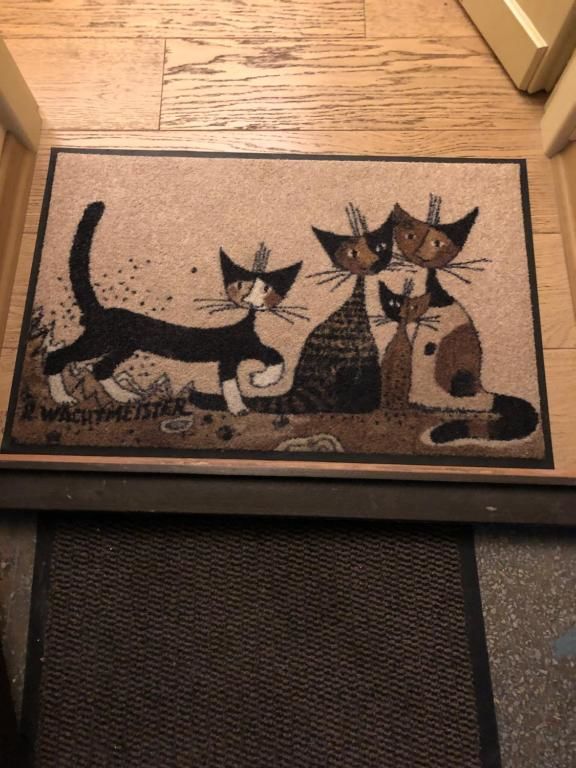 Апартаменты Kiev Cats Appartment Киев